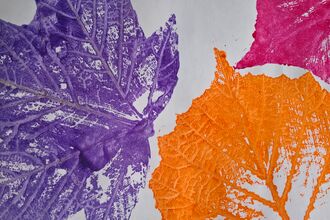 print of some leaves