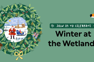 Winter at the Wetlands