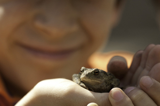 A child smiling in the background with hands holding a toad in the foreground