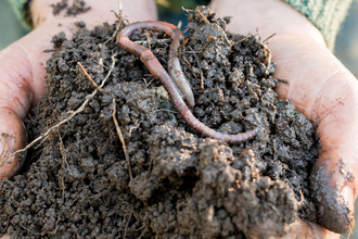 Soil in hands