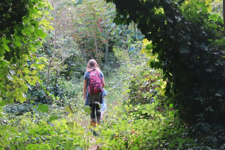New Cross Gate Cutting open day - woman walking in the reserve