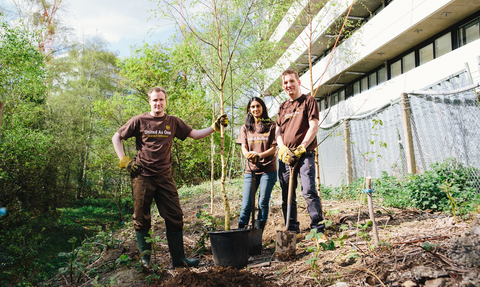 Volunteers planting trees in a woodland