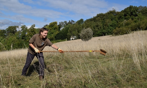 Volunteer raking on West Kent Golfcourse