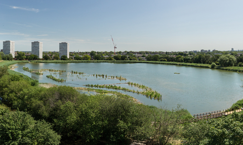 View of Woodberry Wetlands