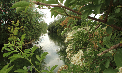 Walthamstow Wetlands Coppermill stream view