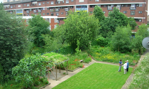 Aerial view of green lawn and foliage at Clapton Park