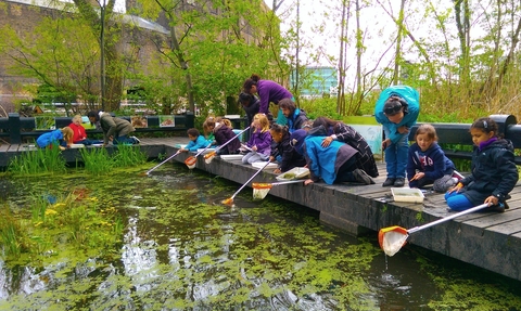 Schoolchildren Pond dipping at Camley Street Natural Park