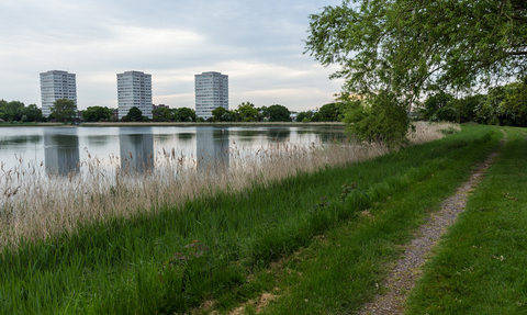 Woodberry Wetlands water and skyline view
