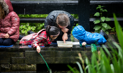 Two children and an adult pond dipping in the rain. The adult is pointing at something in a white tray