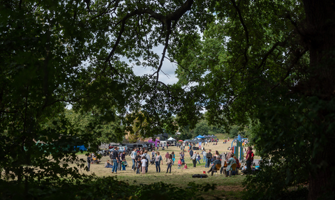 Great North Wood Festival 2019