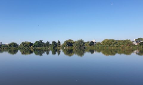 Bright blue sky, horizon line of trees reflected in large body of water