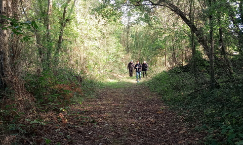 People walking in The Warren