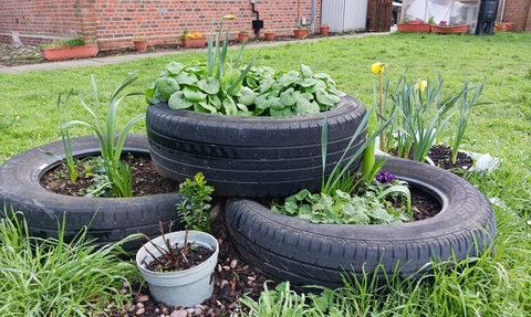 Repurposed tyres are stacked to create raised beds.