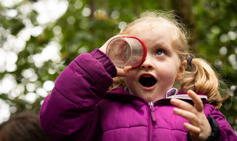 A small child looks into a bug jar with an expression of wonder