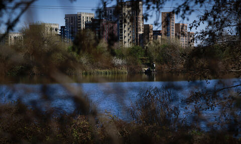 View through trees of Walthamstow Wetlands