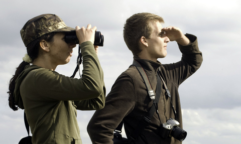 Birdwatching