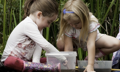Two girls looking in their pond dipping trays