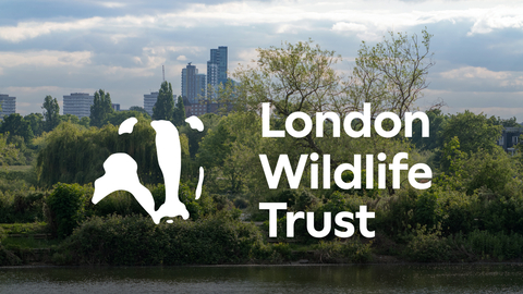 Copyright Wildlondon.org.uk (c) Wildlondon.org.uk