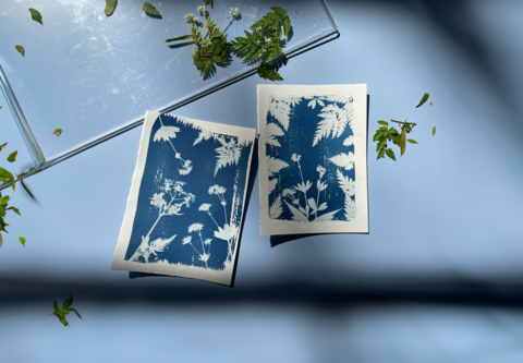 Cyanotype Workshop