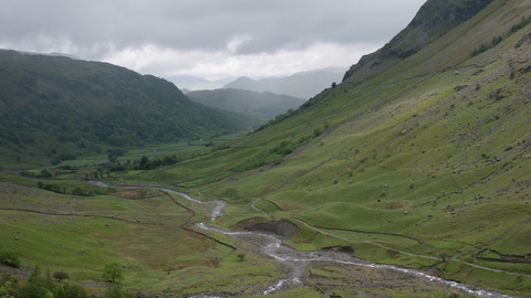 Upland acid grassland and rush pasture