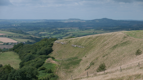 Lowland limestone grassland