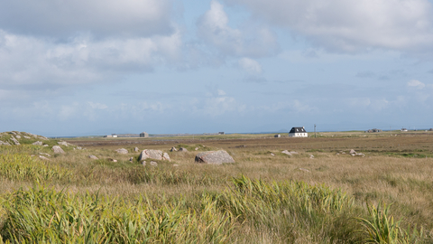 Machair