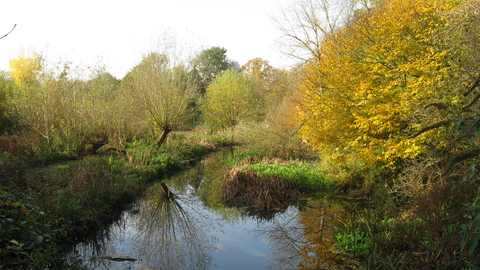 Crane Park Island