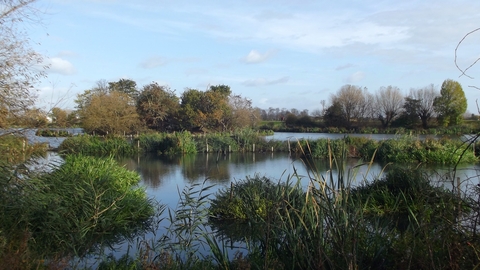 Walthamstow Wetlands (credit James Cracknell)