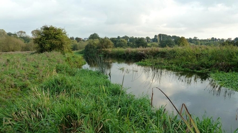 Frays Farm Meadows