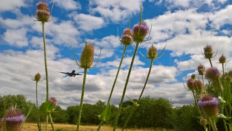 Huckerby's Meadows