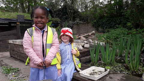 Heber Primary School at Centre for Wildlife Gardening