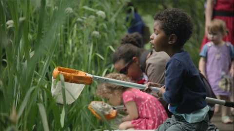Pond dipping at Camley Street Natural Park