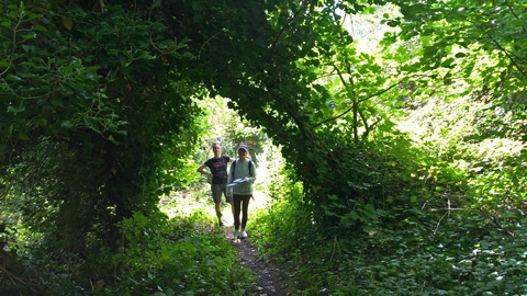 New Cross Gate Cutting