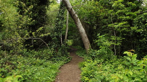 Gunnersbury Triangle