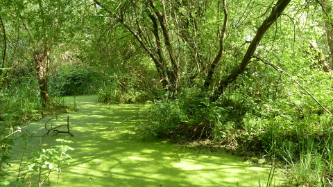 Spencer Road Wetlands