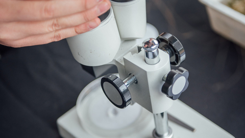 Person looking through microscope