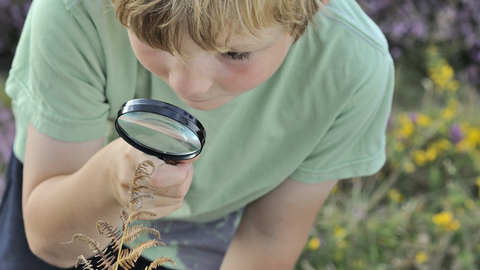 Boy searching for bugs using magnifying glass