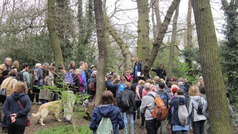 Biggin Wood GNW walk