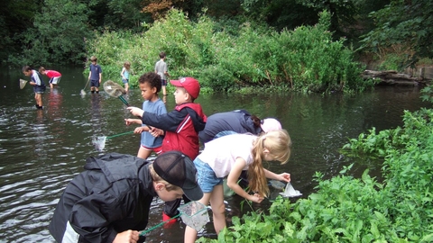 River dipping at Crane Park Island
