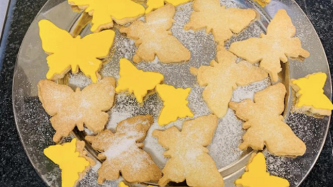 Butterfly Bakes