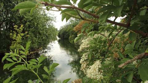 Walthamstow Wetlands Coppermill stream view