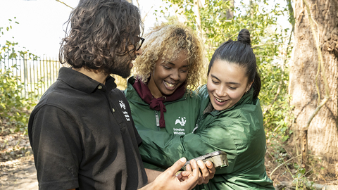A group of young people in nature