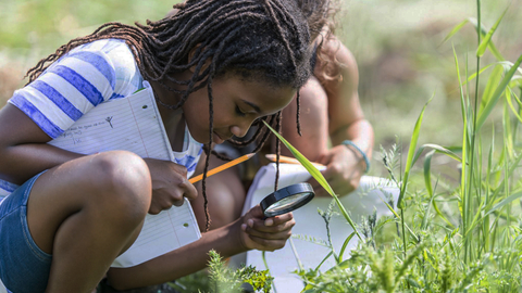 Nature detective