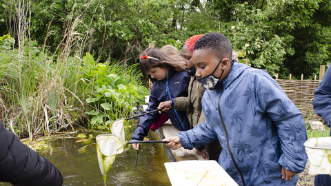 Pond dipping at Walthamstow Wetlands