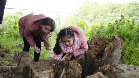 School trip at Walthamstow Wetlands