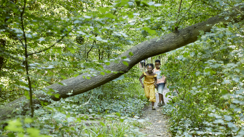 Family in Sydenham Hill Woods