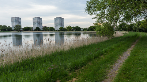 Woodberry Wetlands water and skyline view