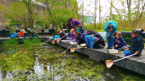 Children pond-dipping on the platform at Camley Street Natural Park