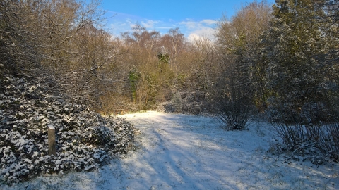 Gunnersbury Triangle nature reserve in the snow