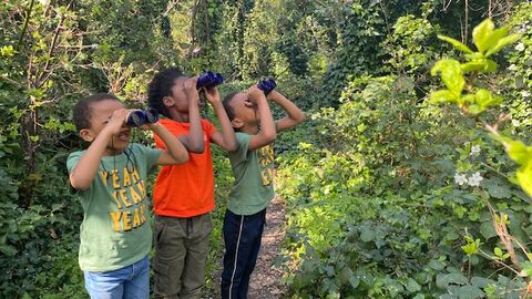 Children Bird Watching at New Cross Gate Cutting